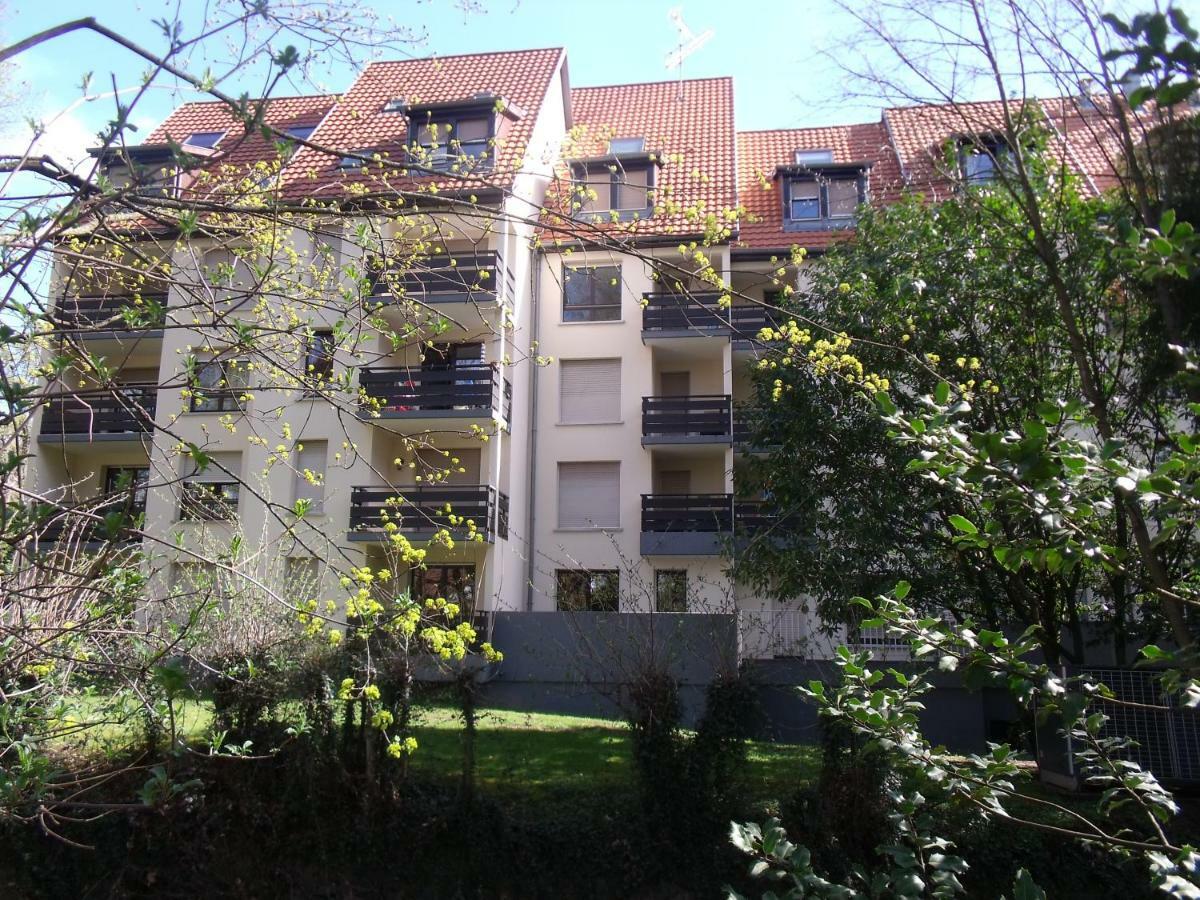 L'ecureuil * Munster (Haut-Rhin)