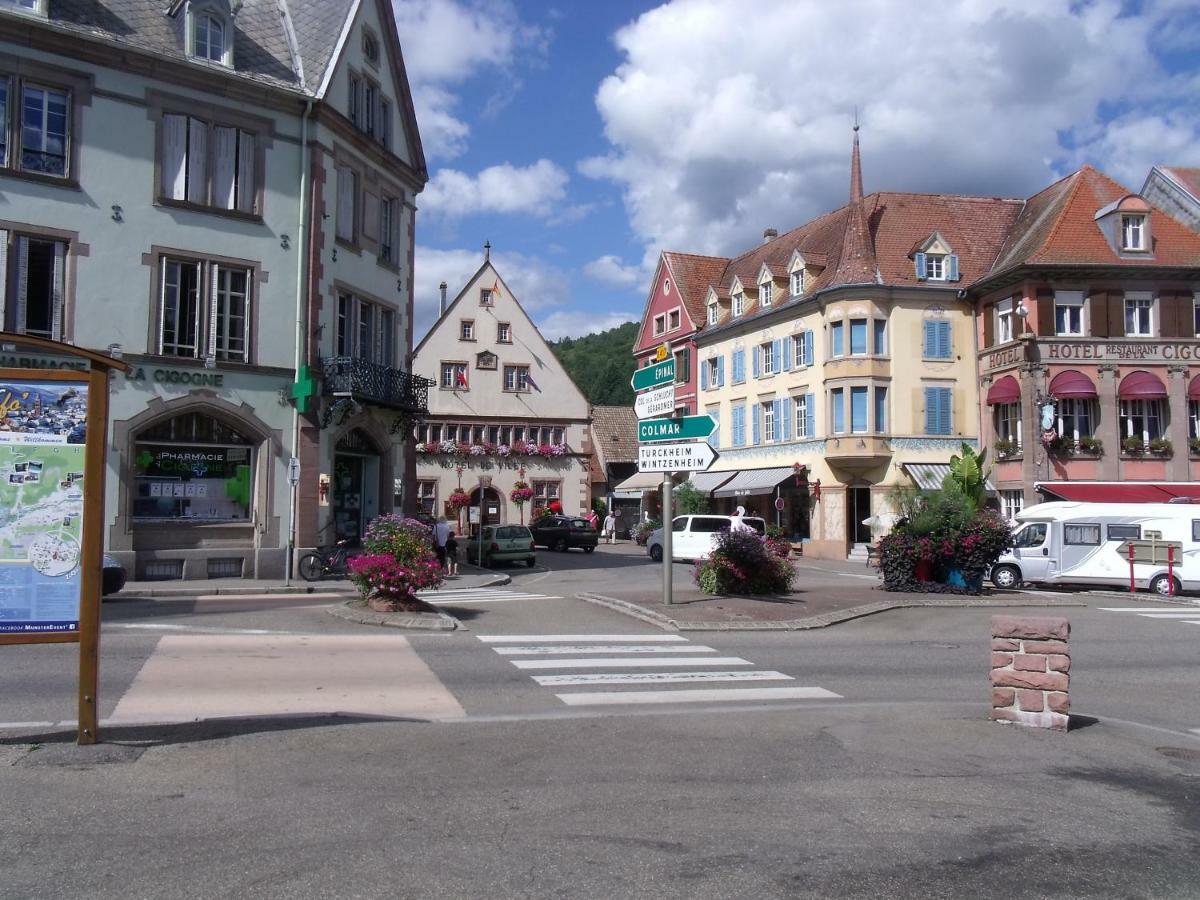 Appartement L'ecureuil
